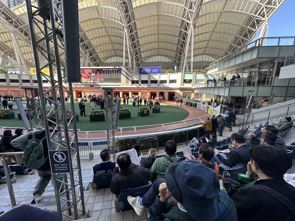 会員向けエリアから見たパドック