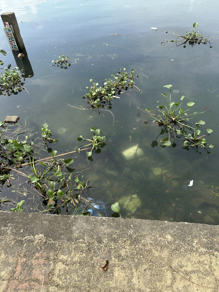 汚れた河