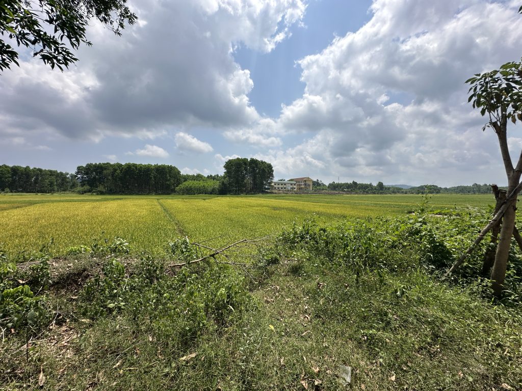 何もない田んぼの風景がすごく良かった