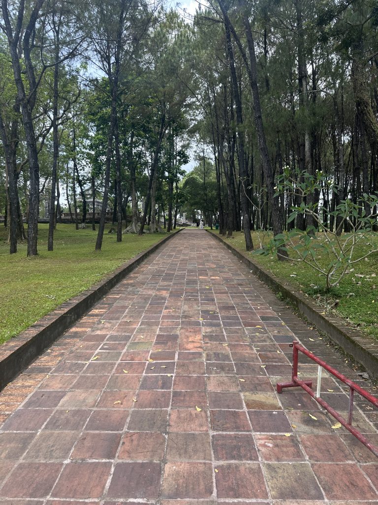 静かな道の画像