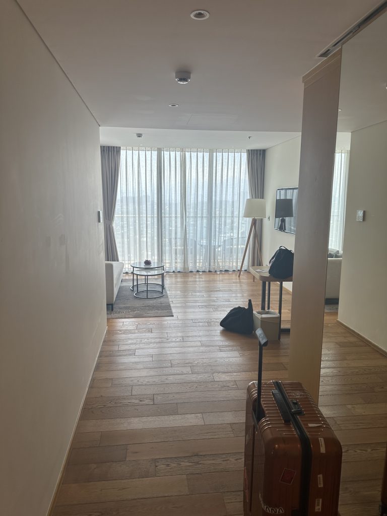 部屋の入り口からの写真